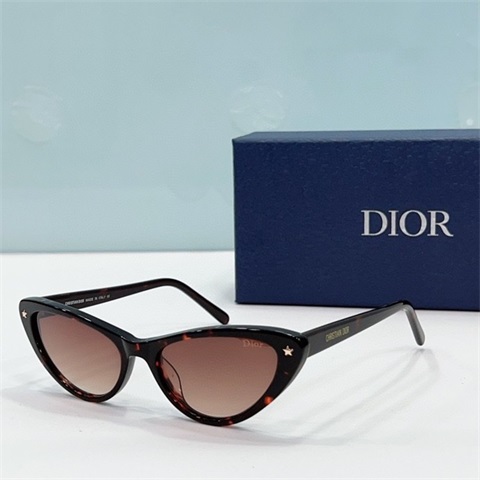 dior sunglass-165